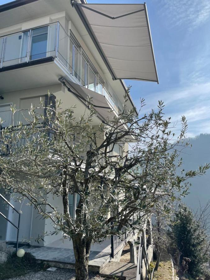 Apartment Casa Colmegna Mit Traumhaften See- Und Bergblick *