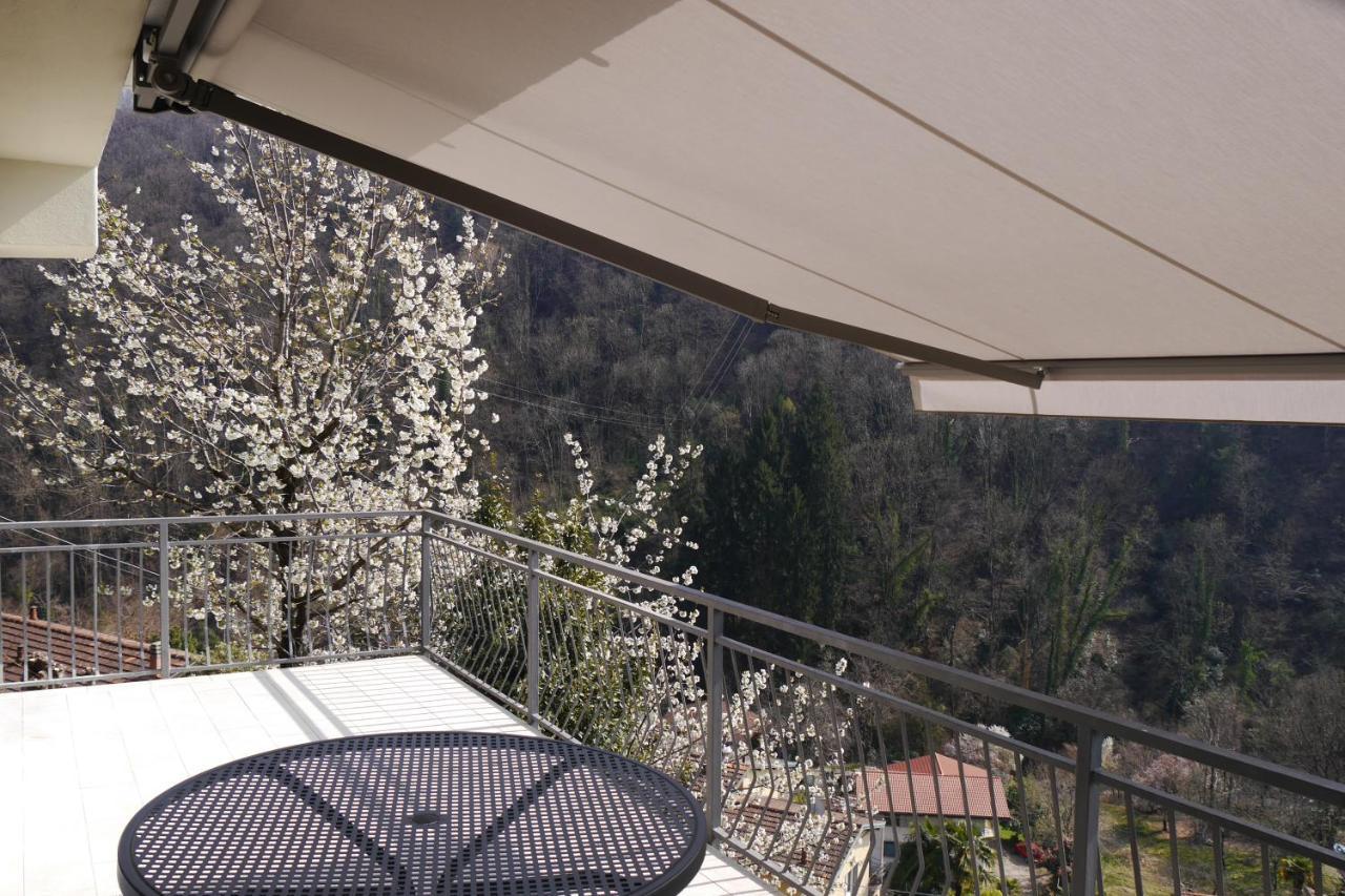 Casa Colmegna Mit Traumhaften See- Und Bergblick Luino